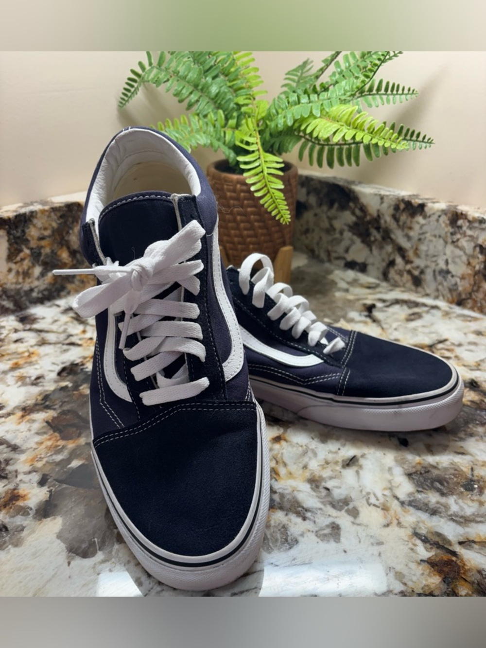Vans Navy and White Old Skool Skate Sneakers